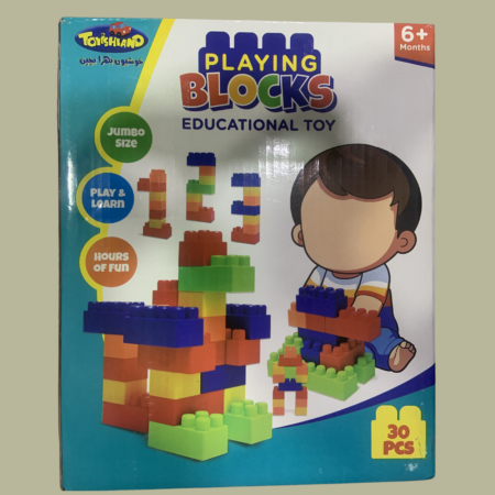 Playing Blocks Educational Toy 6m+(30 pcs)